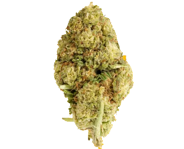 hybrid