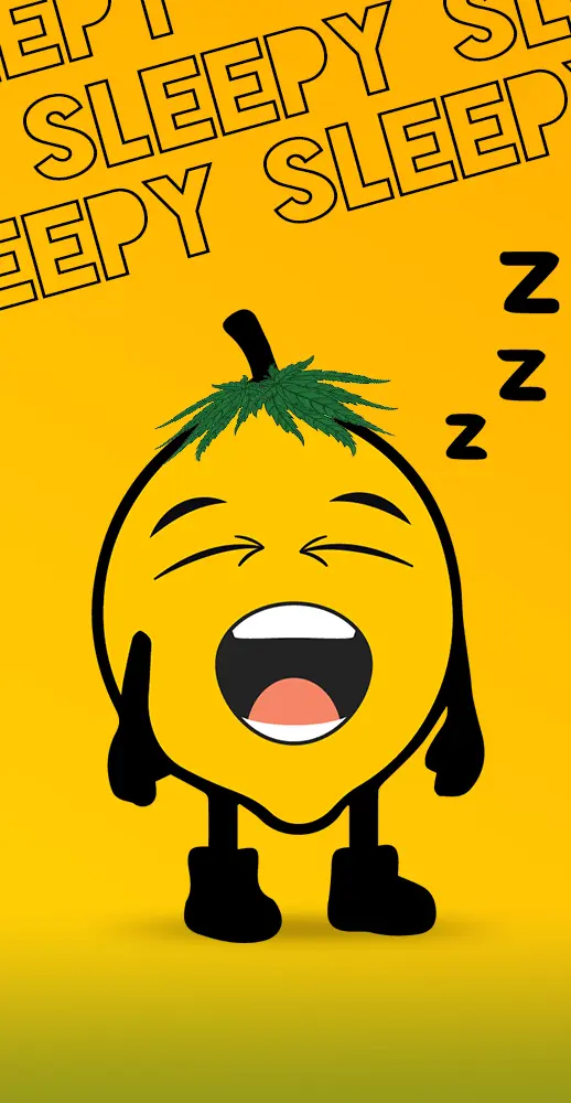 03 Sleepy 1