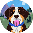 todd diamond profile picture