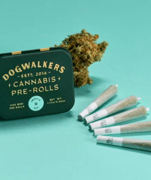 Black Maple | 1.75g (5pk) Pre-roll | Dogwalkers