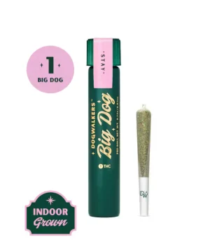 Jack's Delight | 1g Pre-Roll | Big Dogs