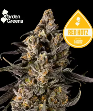 Red Hotz | 3.5g Flower | Garden Greens