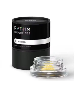 Afternoon Delight #4 | 1g Solventless Live Rosin | Rythm
